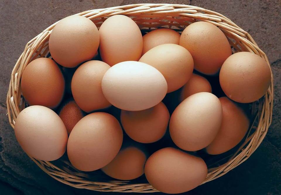 تخم مرغ به علت داشتن امگا 3 در افزایش استعداد و قدرت یادگیری تاثیر دارد.